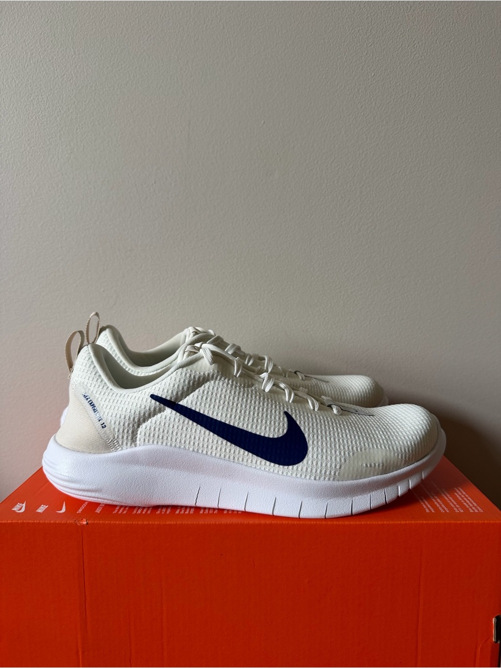 Nike Flex Experience RN 12 White Royal Blue DV0740-103 Men’s Size 9